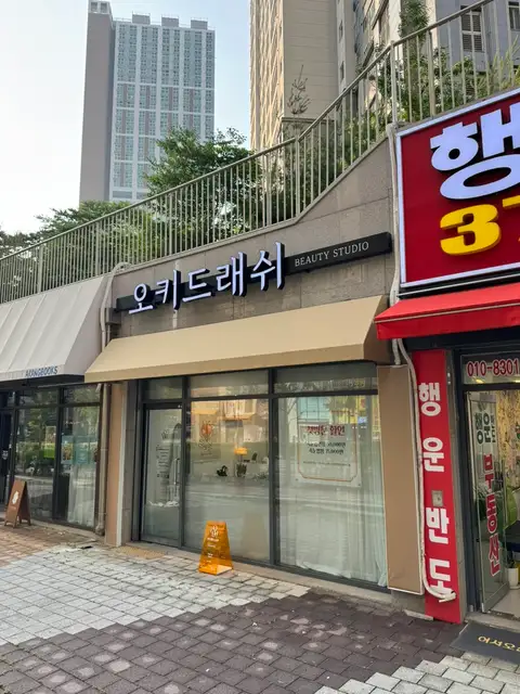 오키드래쉬 사진 5