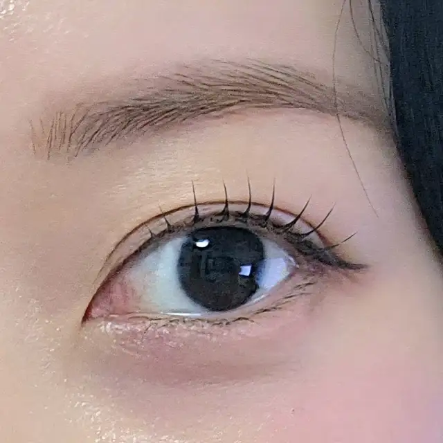 아뮤어래쉬 사진 3