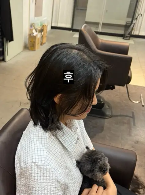 도비룸 사진 4