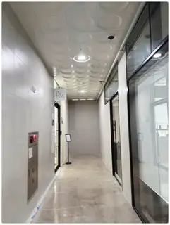 포레브헤어 사진