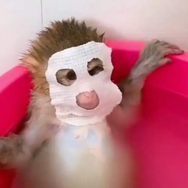 디뮤어네일 사진 7