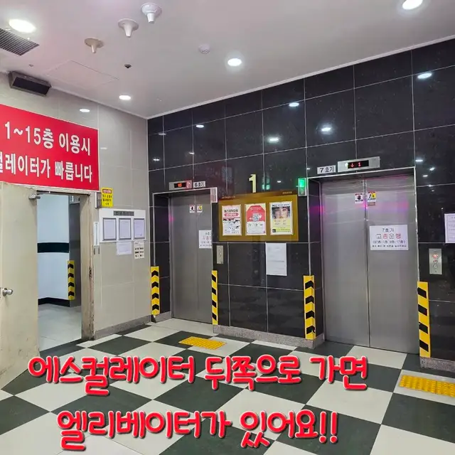 브로우아리아 사진 4