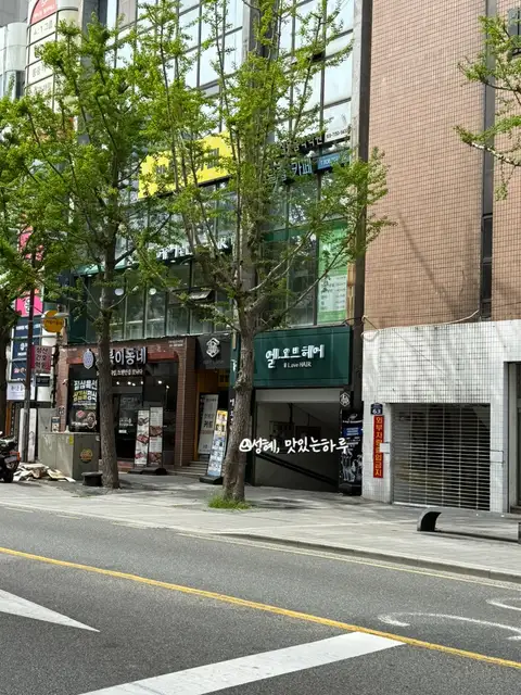 엘오브헤어 사진 4