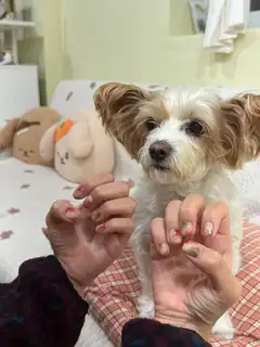 곰곰네일 사진