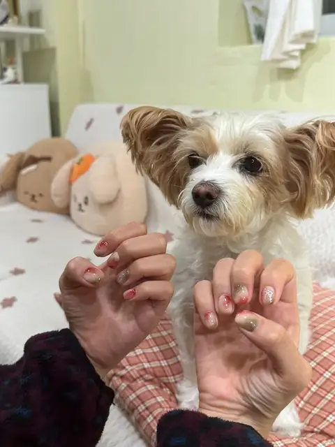 곰곰네일 사진 1