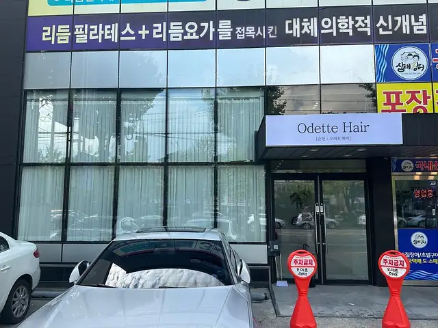 오데트 사진 2