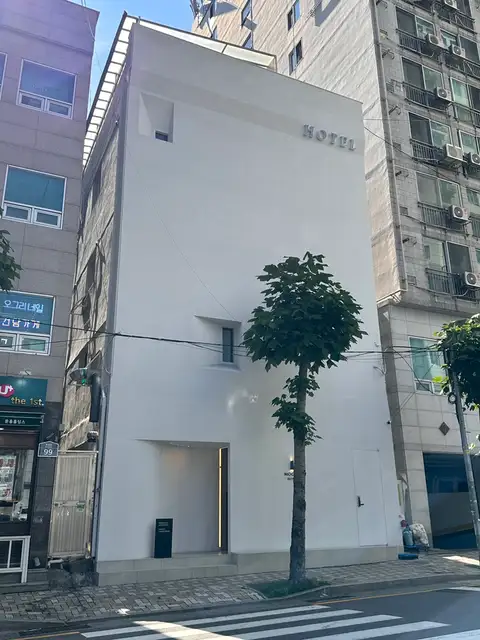 나티니럭스 에스테틱 사진 7