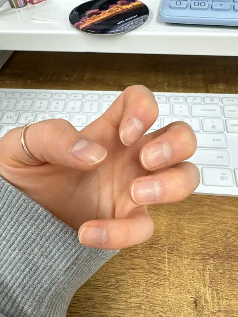 더뉴올 사진 5
