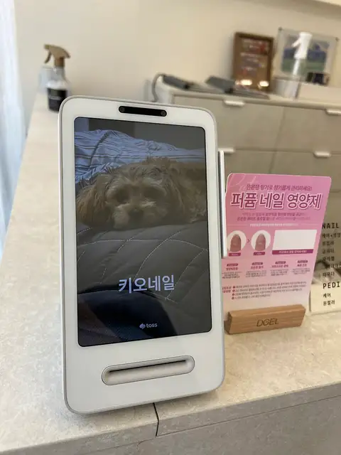키오네일 사진 2