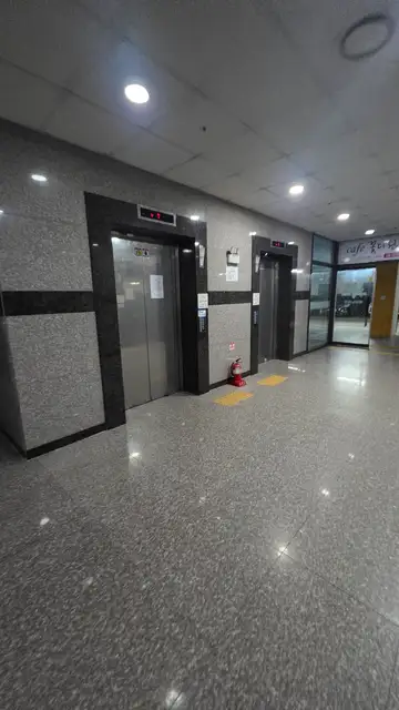 순수한헤어 사진 8