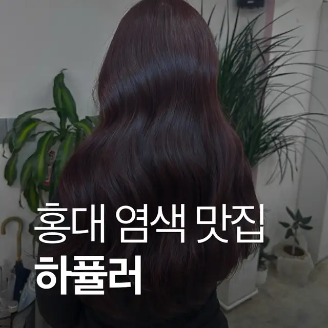 하퓰러 사진 7