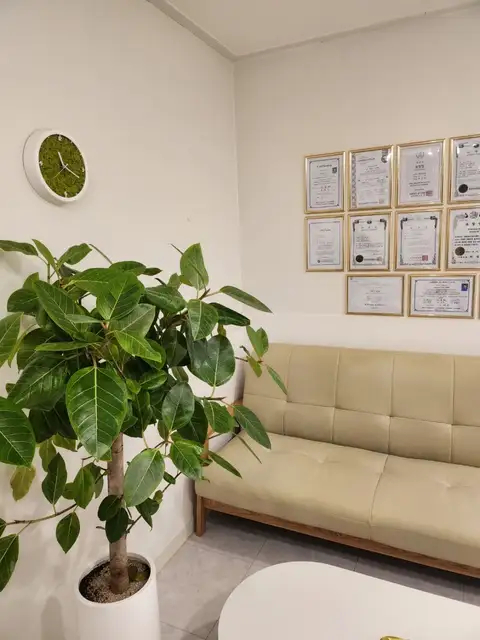 피지오에스떼 사진 8