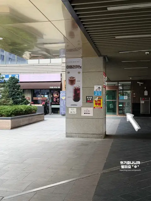 미오 브로우바 사진 6