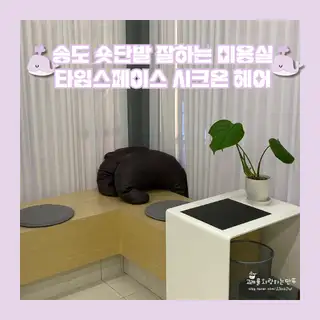 시크온헤어 사진