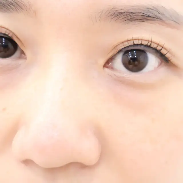 브로우진 사진 8
