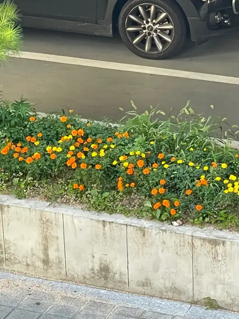 놀이터쌀롱 사진 2