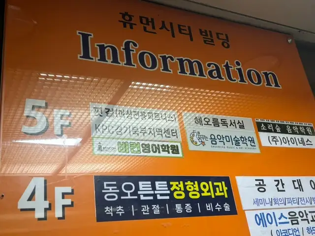 핏걸 사진 8