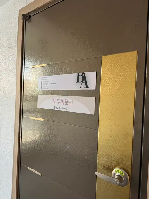 브로우아리아 사진 6