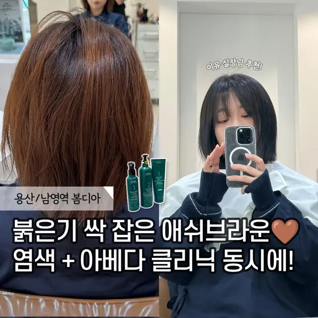 봄디아 사진 1