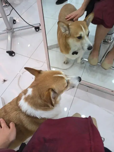 피움 합정역점 사진 2