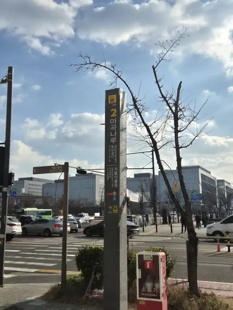 제아네일 사진 6