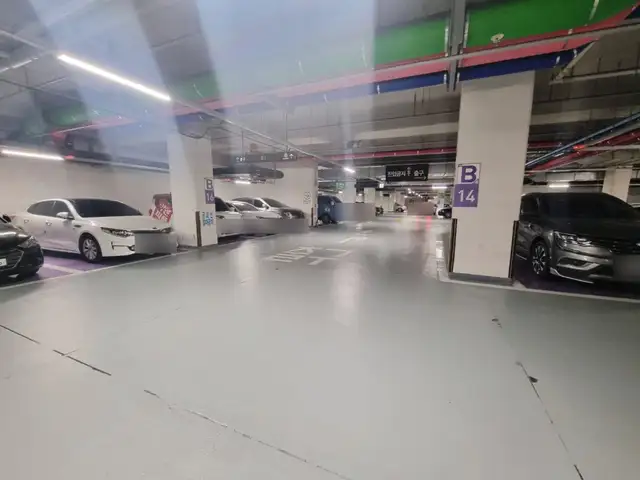 포근래쉬 사진 2
