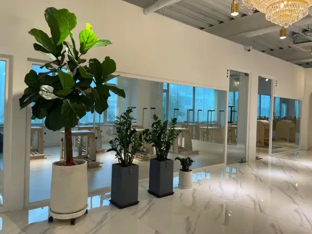 필라테스읻다 사진 5