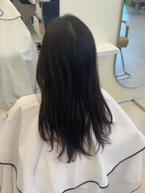 더호프헤어 사진 7