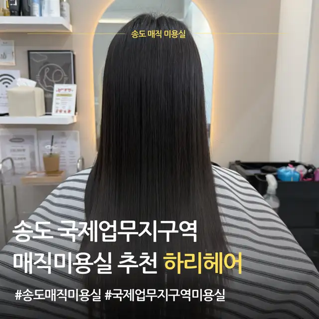 하리헤어 사진 5