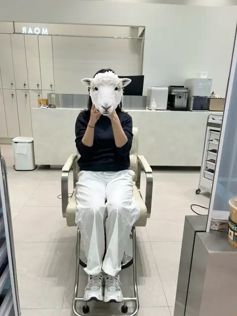 모아르헤어 사진 4