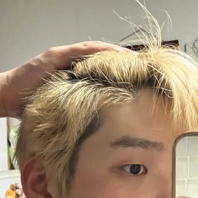 비도트 사진 1