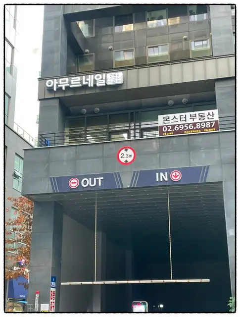 아무르네일 사진 2