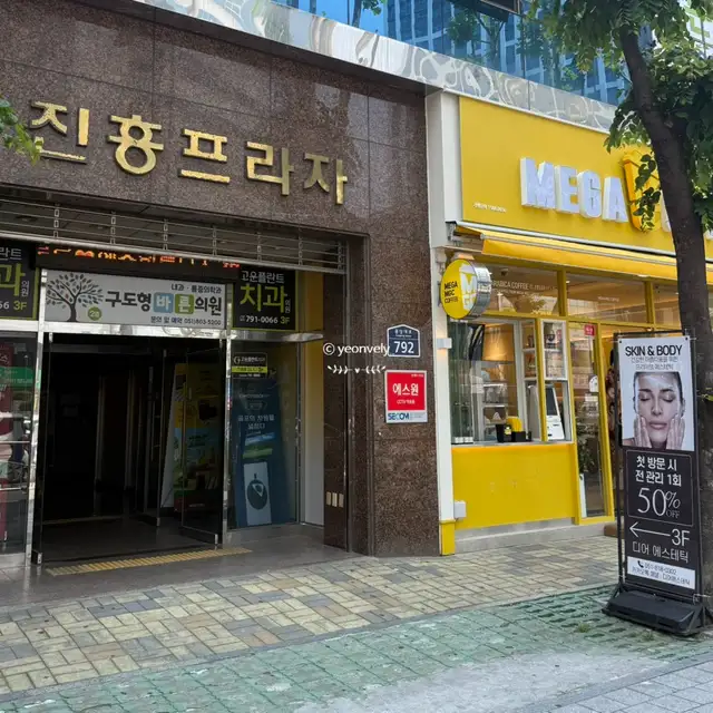 디어에스테틱 사진 2