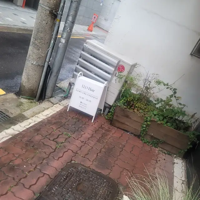 르로헤어 사진 2