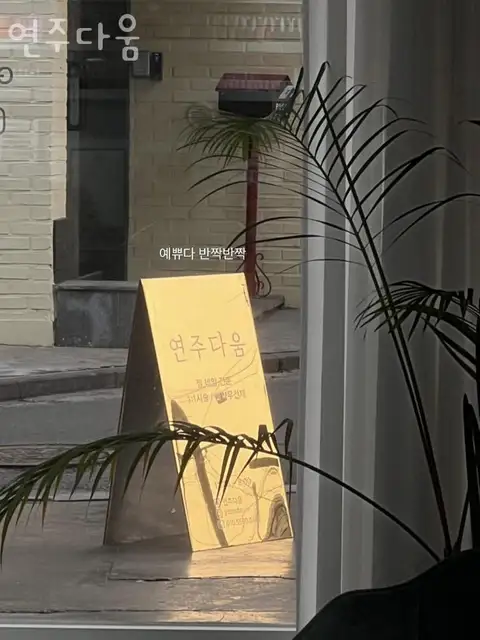 연주다움 사진 1
