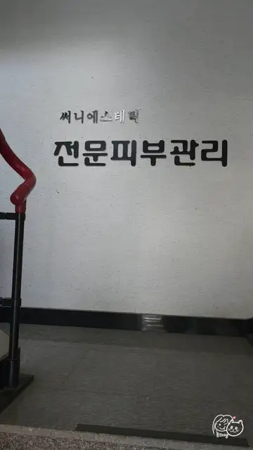 써니에스테틱 사진 6