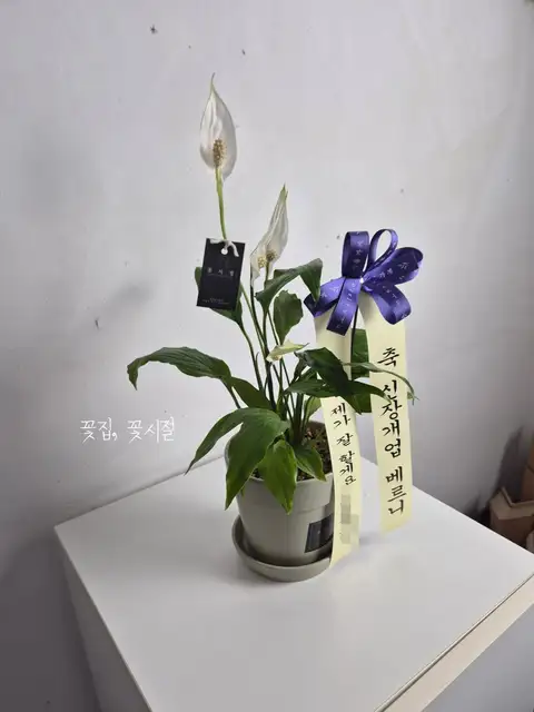 베르너 사진 4
