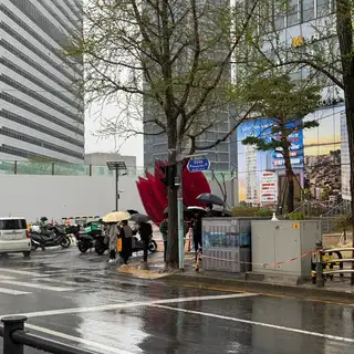 리드왁싱 사진