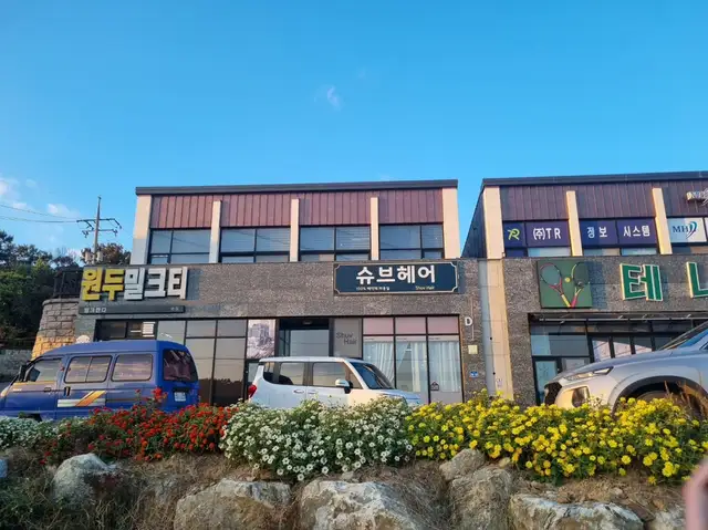 슈브헤어 사진 5