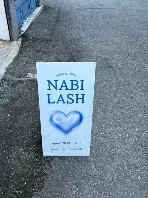 나비래쉬 사진 8