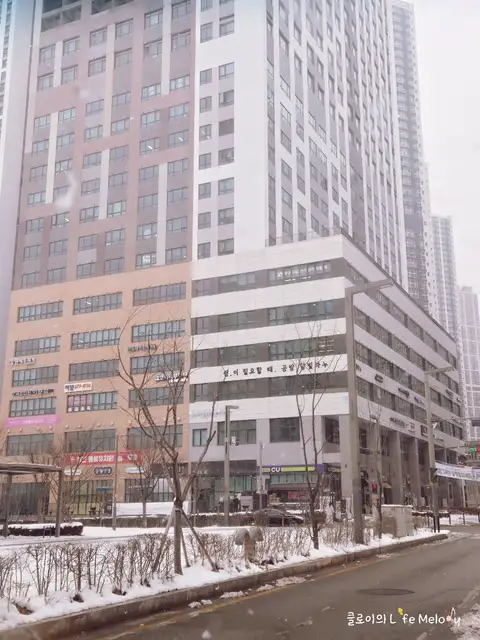 린에스테틱 사진 2