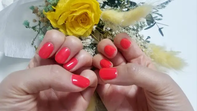 네일온제 사진 5