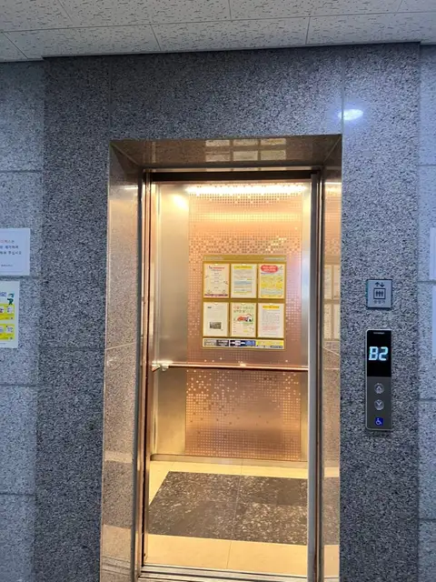 루시드브로우 사진 8