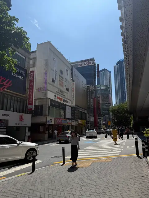 스파로제 사진 2