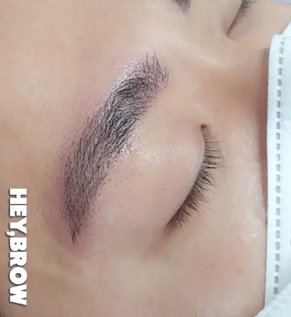 헤이브로우 사진 2