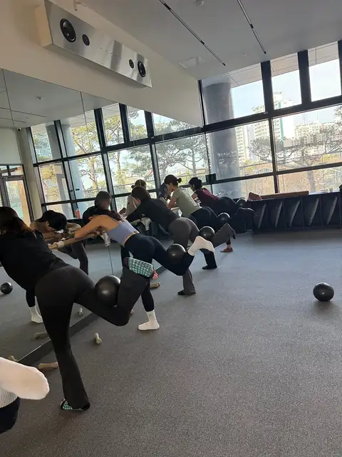 플로 바레 사진 7