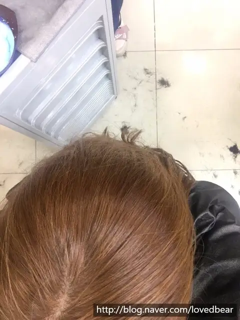 박시연헤어갤러리 사진 1