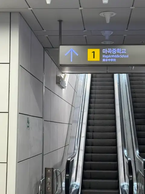 와이오브로우 사진 4
