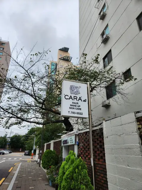 까라디 이촌점 사진 7