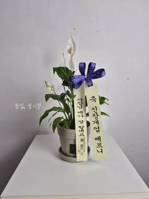 베르너 사진 3